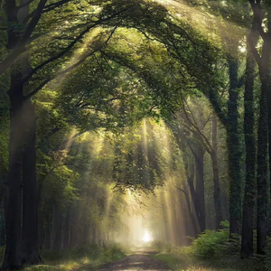 跟胡桃做爱的视频
