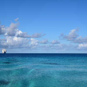 跟胡桃做爱的视频
